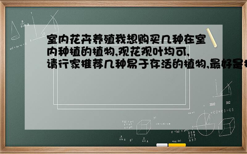 室内花卉养殖我想购买几种在室内种植的植物,观花观叶均可,请行家推荐几种易于存活的植物,最好是抗寒能力较强些的.我这里冬季气温大致在0—8摄氏度左右.