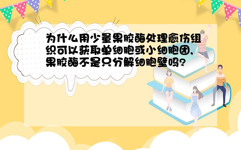 为什么用少量果胶酶处理愈伤组织可以获取单细胞或小细胞团,果胶酶不是只分解细胞壁吗?