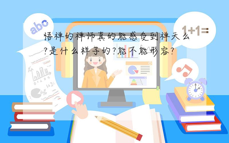 悟禅的禅师真的能感受到禅天么?是什么样子的?能不能形容?