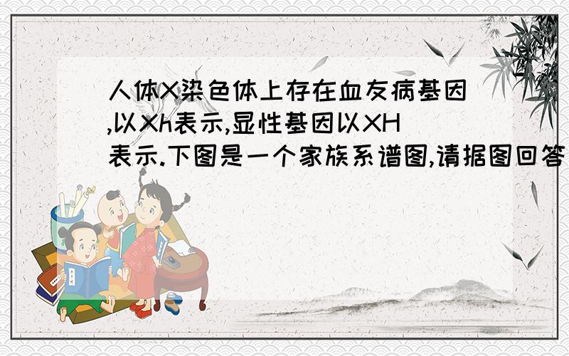 人体X染色体上存在血友病基因,以Xh表示,显性基因以XH表示.下图是一个家族系谱图,请据图回答：•1）若1号的母亲是血友病患者,则1号父亲的基因型是 .•2）若1号的双亲都不是血友病患