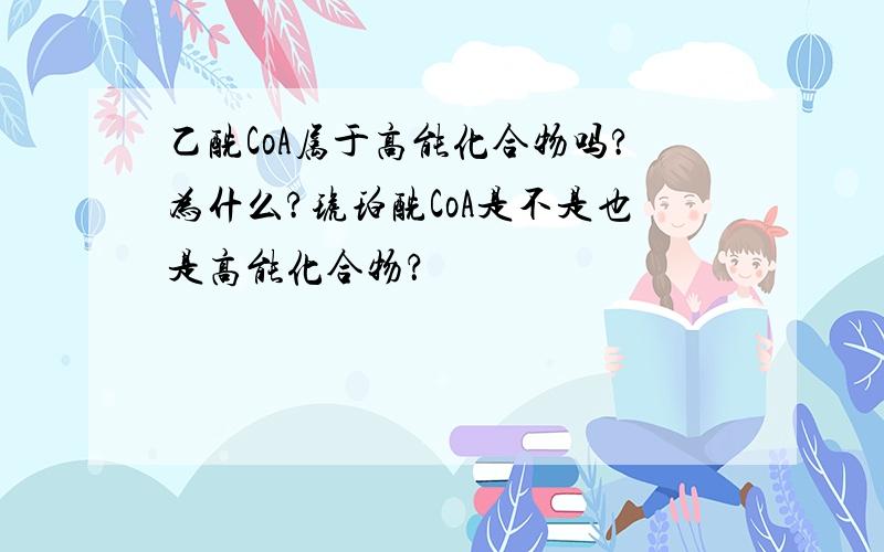 乙酰CoA属于高能化合物吗?为什么?琥珀酰CoA是不是也是高能化合物？