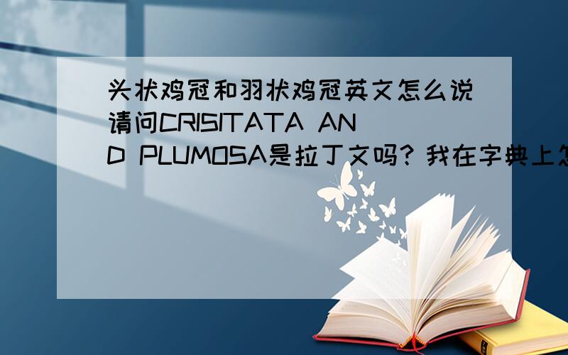 头状鸡冠和羽状鸡冠英文怎么说请问CRISITATA AND PLUMOSA是拉丁文吗？我在字典上怎么查不到？