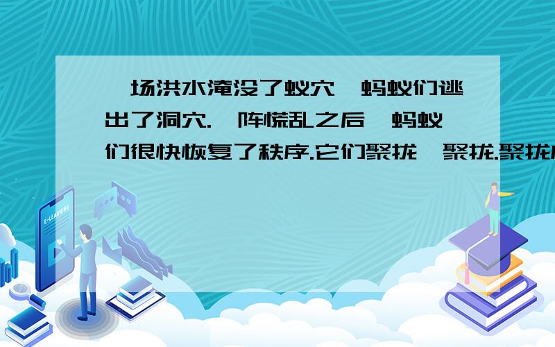 一场洪水淹没了蚁穴,蚂蚁们逃出了洞穴.一阵慌乱之后,蚂蚁们很快恢复了秩序.它们聚拢、聚拢.聚拢成了一个大大的蚂蚁团.这时水漫了上来,没有一只蚂蚁散开逃开,蚂蚁团就漂在了水面上,在