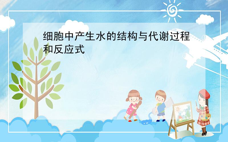 细胞中产生水的结构与代谢过程和反应式