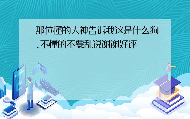 那位懂的大神告诉我这是什么狗.不懂的不要乱说谢谢好评