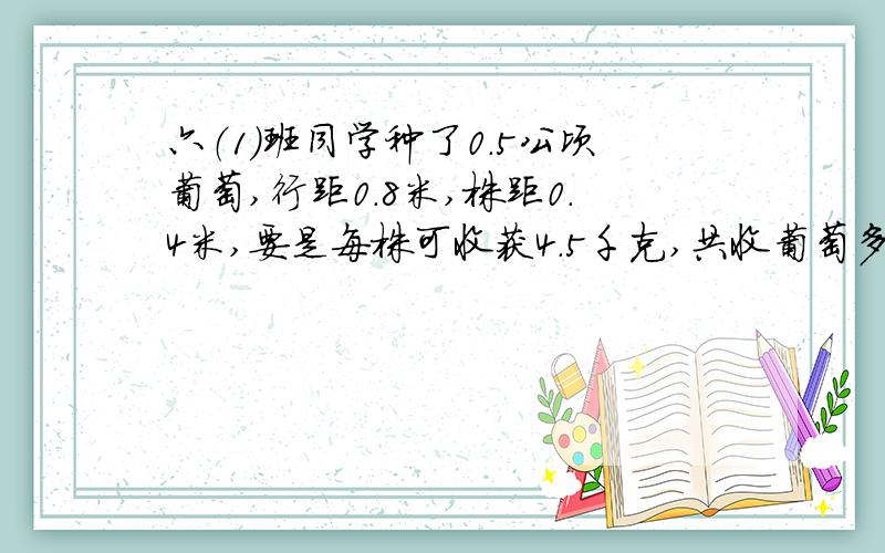 六（1）班同学种了0.5公顷葡萄,行距0.8米,株距0.4米,要是每株可收获4.5千克,共收葡萄多少千克?