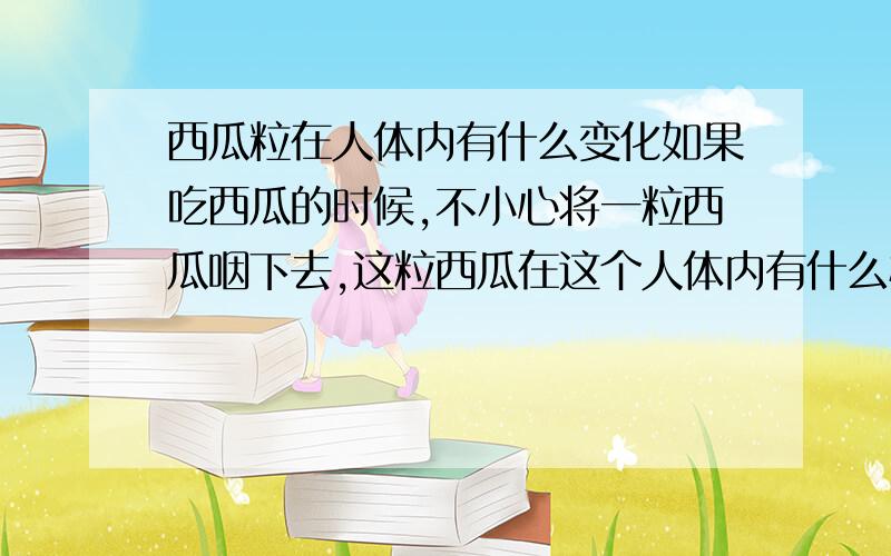 西瓜粒在人体内有什么变化如果吃西瓜的时候,不小心将一粒西瓜咽下去,这粒西瓜在这个人体内有什么样的经历?