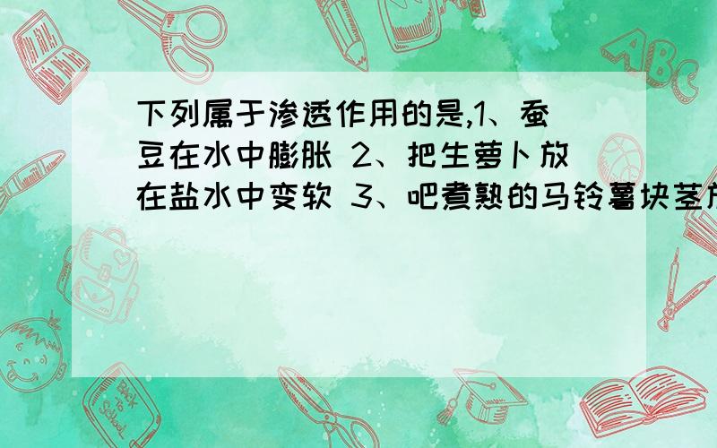 下列属于渗透作用的是,1、蚕豆在水中膨胀 2、把生萝卜放在盐水中变软 3、吧煮熟的马铃薯块茎放入清水中4、面粉吸水 顺边问一下什么叫渗透吸水,