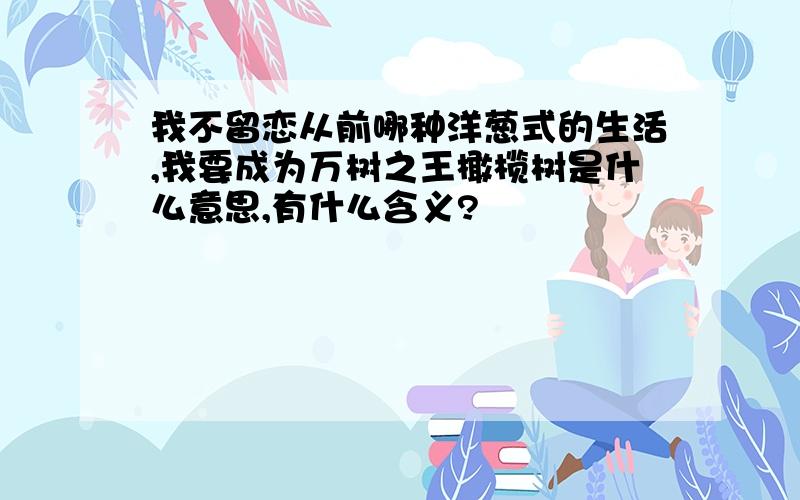 我不留恋从前哪种洋葱式的生活,我要成为万树之王橄榄树是什么意思,有什么含义?