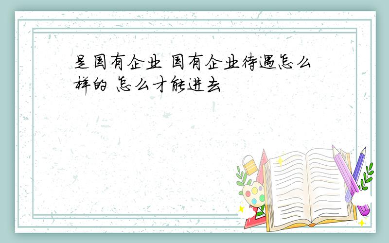 是国有企业 国有企业待遇怎么样的 怎么才能进去