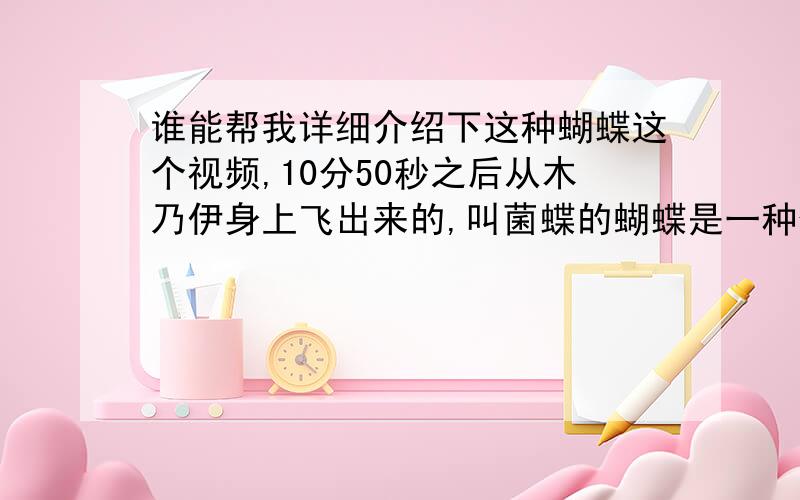 谁能帮我详细介绍下这种蝴蝶这个视频,10分50秒之后从木乃伊身上飞出来的,叫菌蝶的蝴蝶是一种什么样的蝴蝶,如果明确告诉我是什么蝴蝶,我可以再给20分