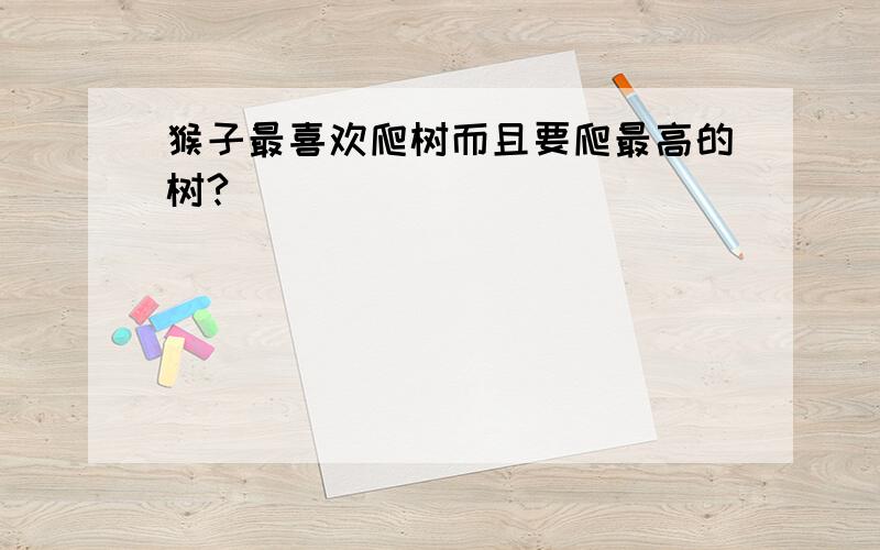 猴子最喜欢爬树而且要爬最高的树?