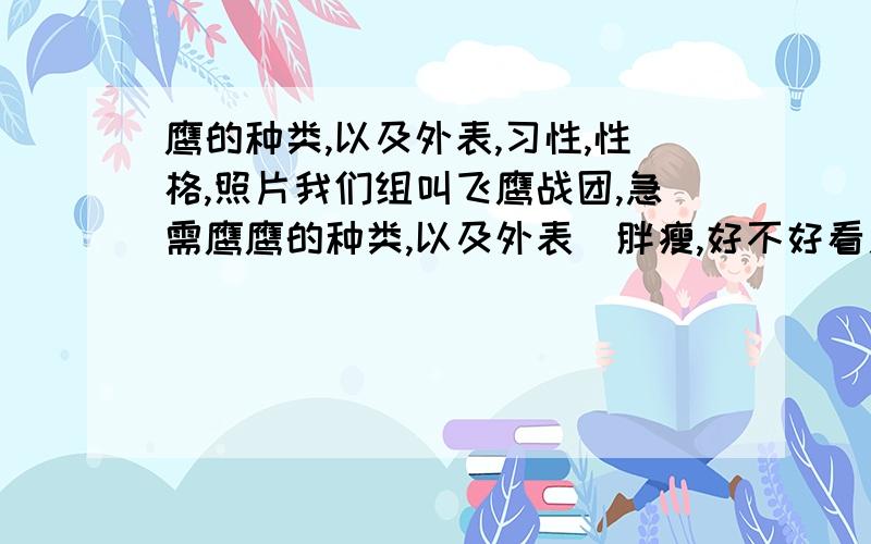 鹰的种类,以及外表,习性,性格,照片我们组叫飞鹰战团,急需鹰鹰的种类,以及外表（胖瘦,好不好看之类）,习性（独居or群居,吵不吵,声音响不响等等),性格,照片xiexieO(∩_∩)O谢谢