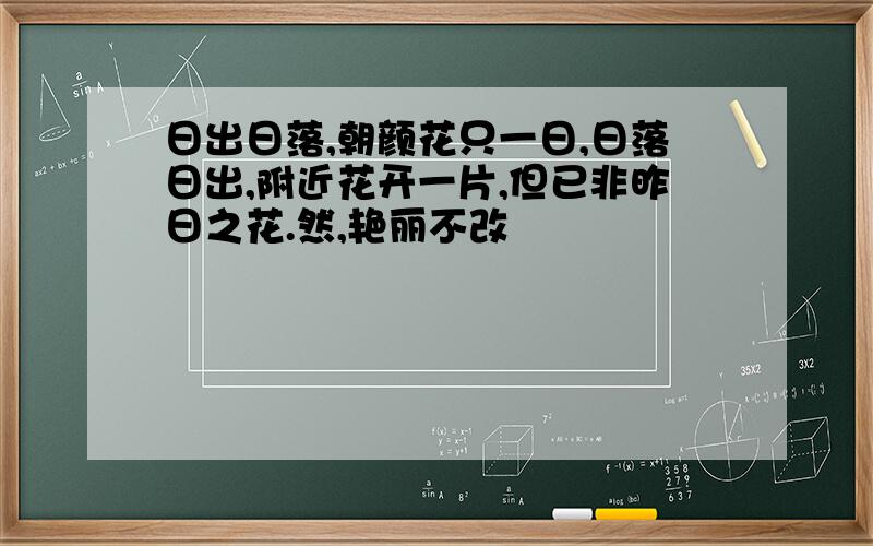 日出日落,朝颜花只一日,日落日出,附近花开一片,但已非昨日之花.然,艳丽不改