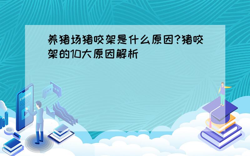 养猪场猪咬架是什么原因?猪咬架的10大原因解析