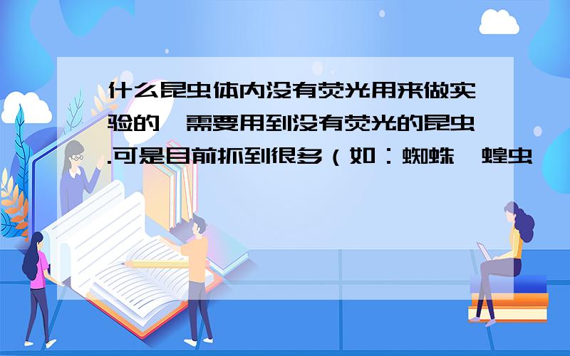 什么昆虫体内没有荧光用来做实验的,需要用到没有荧光的昆虫.可是目前抓到很多（如：蜘蛛,蝗虫,蟑螂,瓢虫,蚂蚁）这些荧光测试后显示都有荧光.