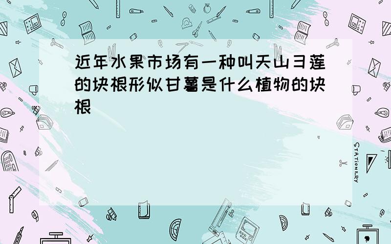 近年水果市场有一种叫天山彐莲的块根形似甘薯是什么植物的块根