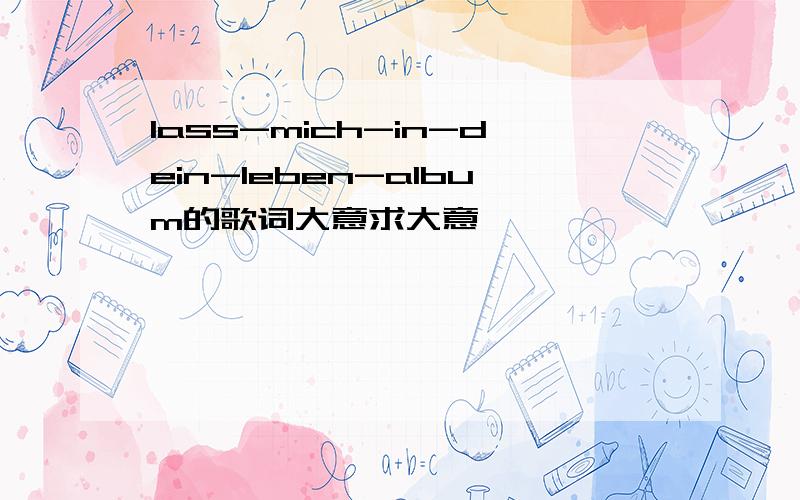 lass-mich-in-dein-leben-album的歌词大意求大意,