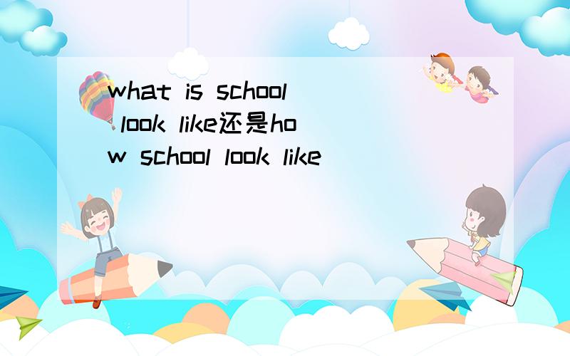 what is school look like还是how school look like