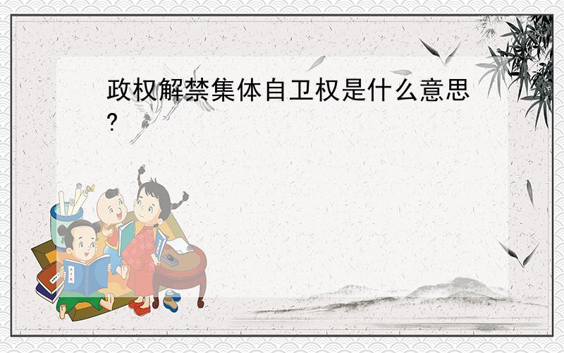 政权解禁集体自卫权是什么意思?