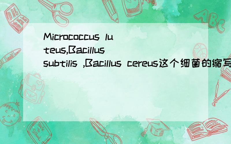 Micrococcus luteus,Bacillus subtilis ,Bacillus cereus这个细菌的缩写是什么?