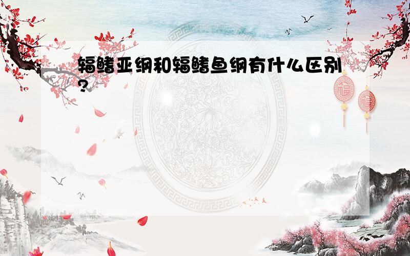 辐鳍亚纲和辐鳍鱼纲有什么区别?