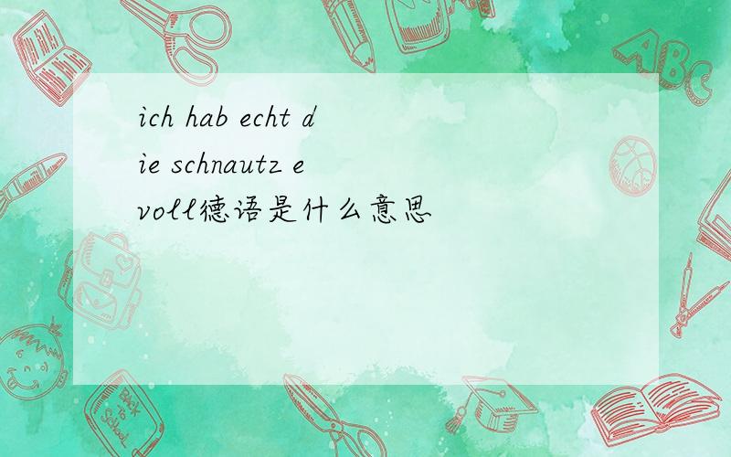 ich hab echt die schnautz e voll德语是什么意思