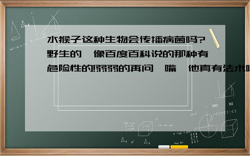 水猴子这种生物会传播病菌吗?野生的,像百度百科说的那种有危险性的!弱弱的再问一嘴,他真有法术吗?急