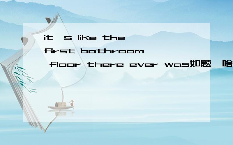 it's like the first bathroom floor there ever was如题,啥意思?