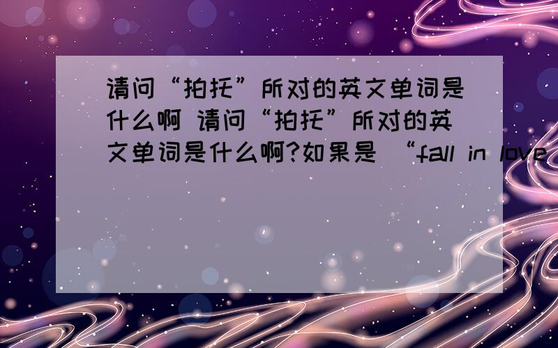 请问“拍托”所对的英文单词是什么啊 请问“拍托”所对的英文单词是什么啊?如果是 “fall in love with”那也翻译不成啊？（比如音译）