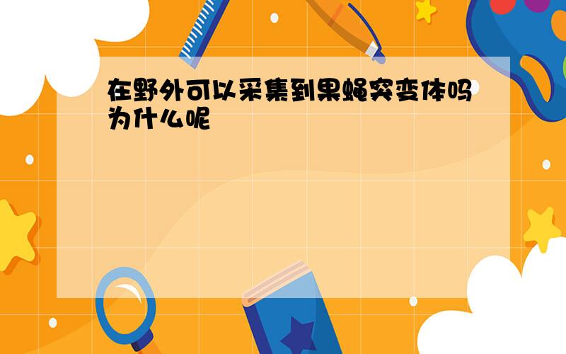 在野外可以采集到果蝇突变体吗为什么呢