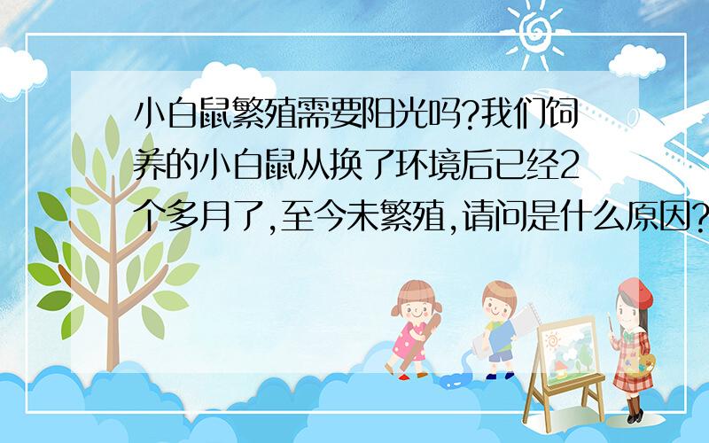 小白鼠繁殖需要阳光吗?我们饲养的小白鼠从换了环境后已经2个多月了,至今未繁殖,请问是什么原因?现在和以前的环境区别如下：1、原环境为东面窗,有阳光；现在为阴面,无阳光.2、现在的环