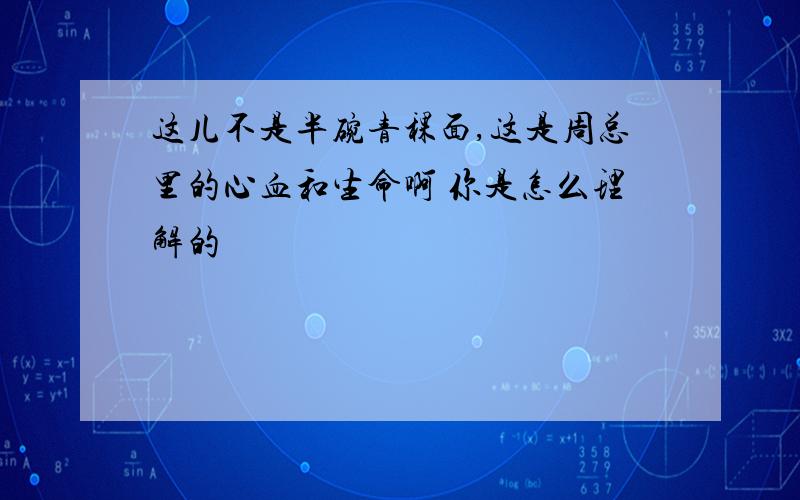 这儿不是半碗青稞面,这是周总里的心血和生命啊 你是怎么理解的