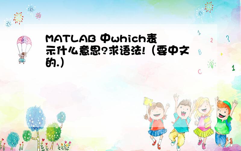 MATLAB 中which表示什么意思?求语法!（要中文的.）