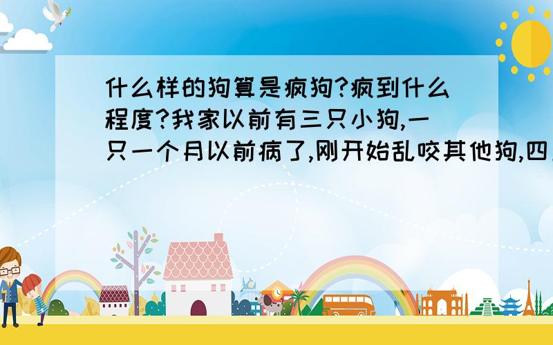 什么样的狗算是疯狗?疯到什么程度?我家以前有三只小狗,一只一个月以前病了,刚开始乱咬其他狗,四五天后死了,这其中不吃饭!现在另一只小狗也开始咬人了,我爸妈都被咬伤了,有种说法是家