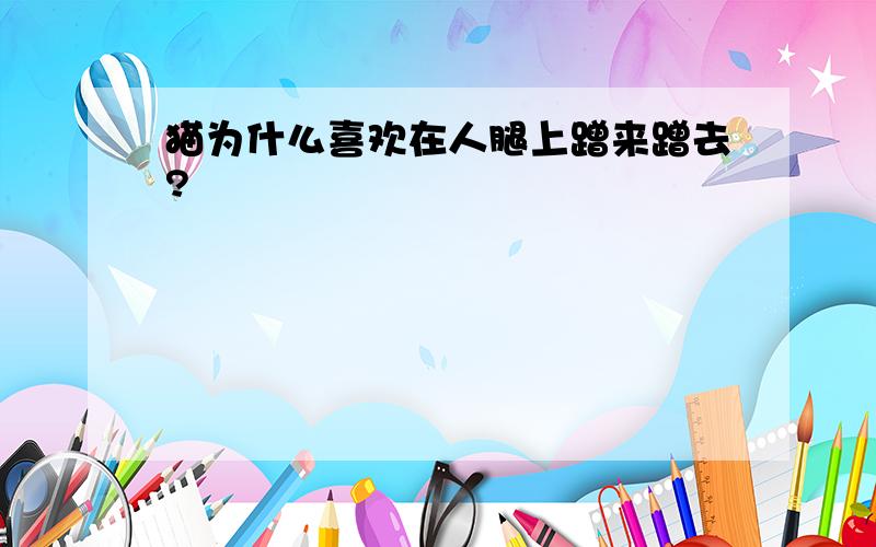 猫为什么喜欢在人腿上蹭来蹭去?