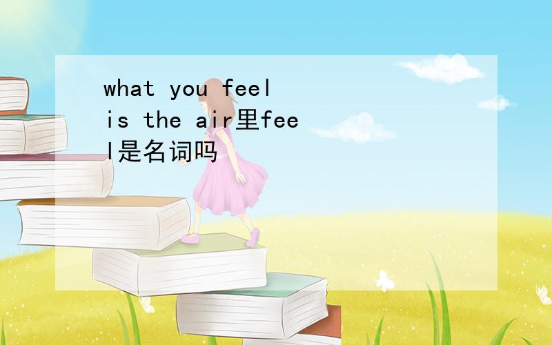 what you feel is the air里feel是名词吗