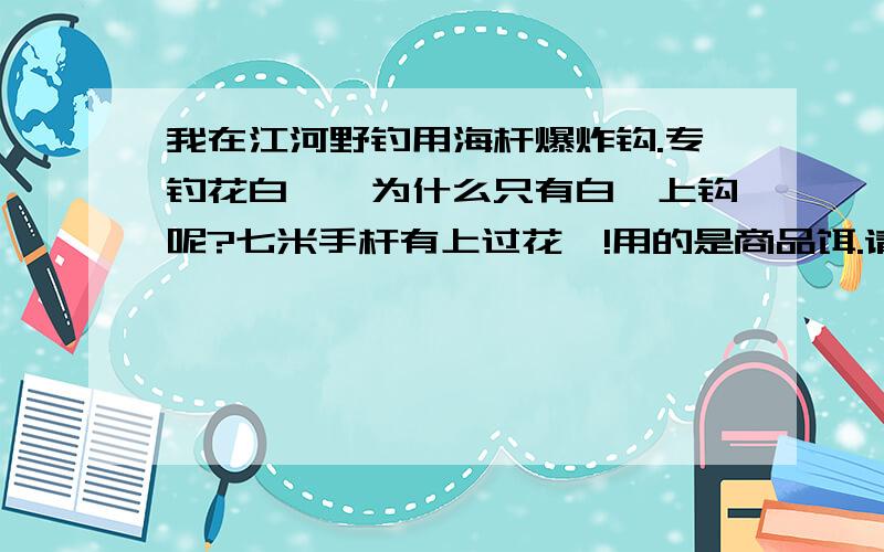 我在江河野钓用海杆爆炸钩.专钓花白鲢、为什么只有白鲢上钩呢?七米手杆有上过花鲢!用的是商品饵.请高�我在江河野钓用海杆爆炸钩.专钓花白鲢、为什么只有白鲢上钩呢?七米手杆有上过