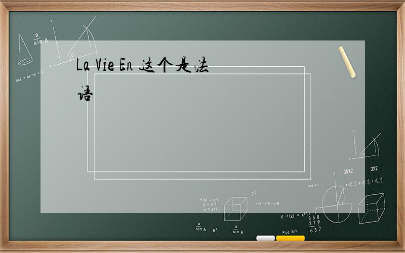 La Vie En 这个是法语