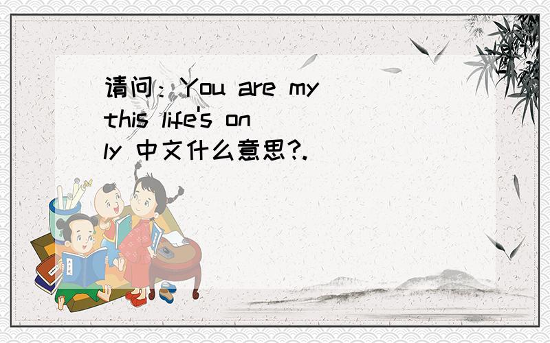 请问：You are my this life's only 中文什么意思?.