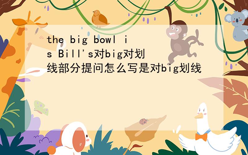 the big bowl is Bill's对big对划线部分提问怎么写是对big划线