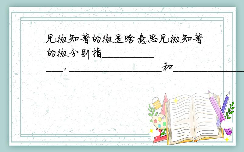 见微知著的微是啥意思见微知著的微分别指____________,________________和________________________