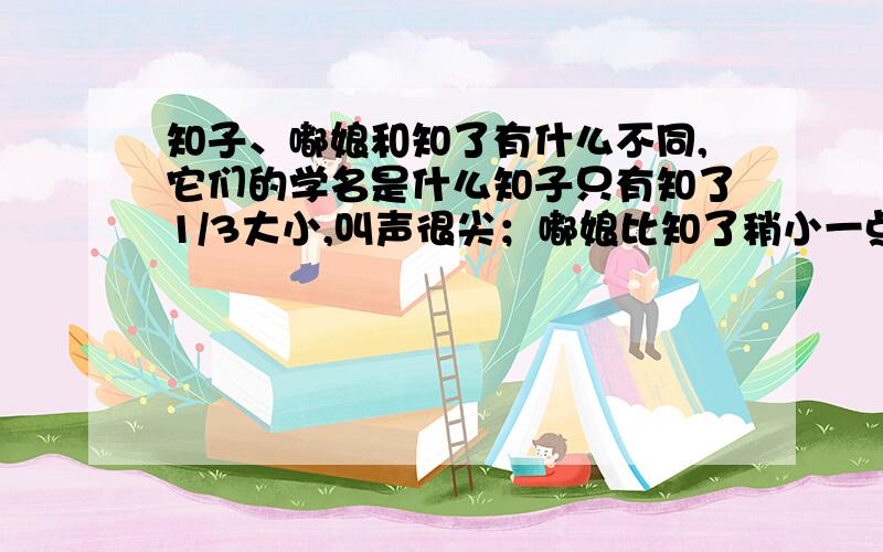 知子、嘟娘和知了有什么不同,它们的学名是什么知子只有知了1/3大小,叫声很尖；嘟娘比知了稍小一点,叫声很婉转很好听,南方树上常见,它们学名叫什么?