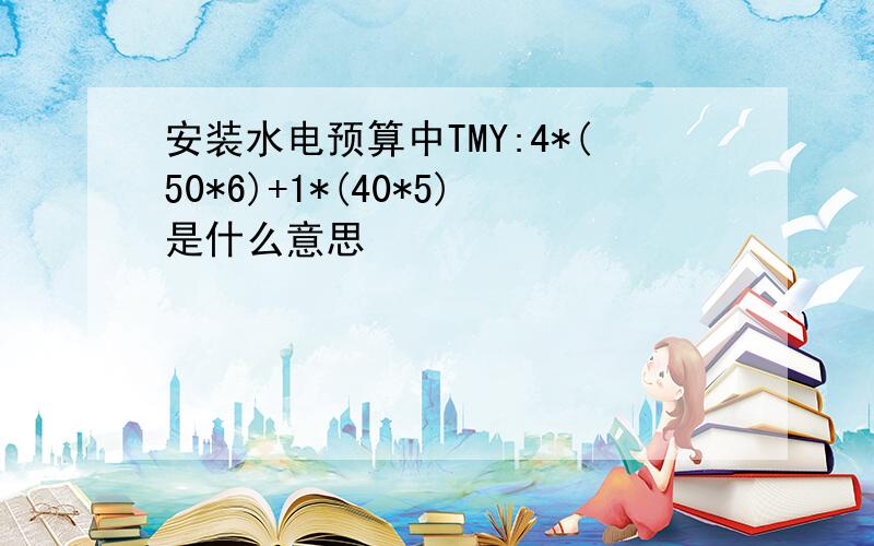 安装水电预算中TMY:4*(50*6)+1*(40*5)是什么意思