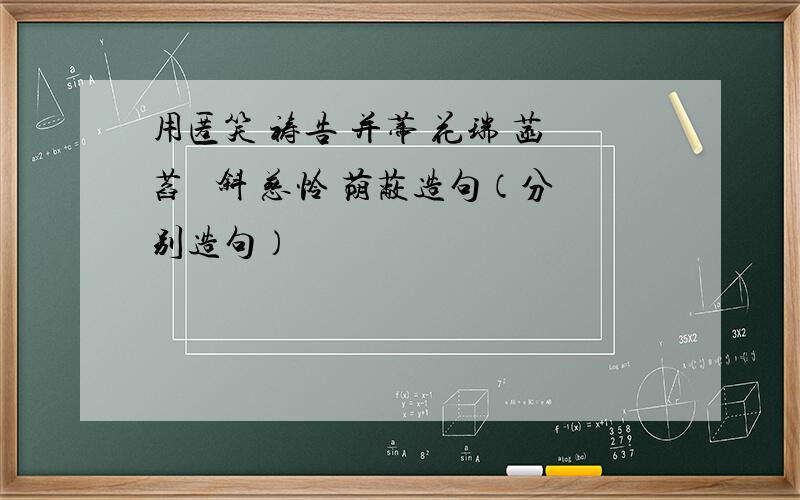 用匿笑 祷告 并蒂 花瑞 菡萏 敧斜 慈怜 荫蔽造句（分别造句）