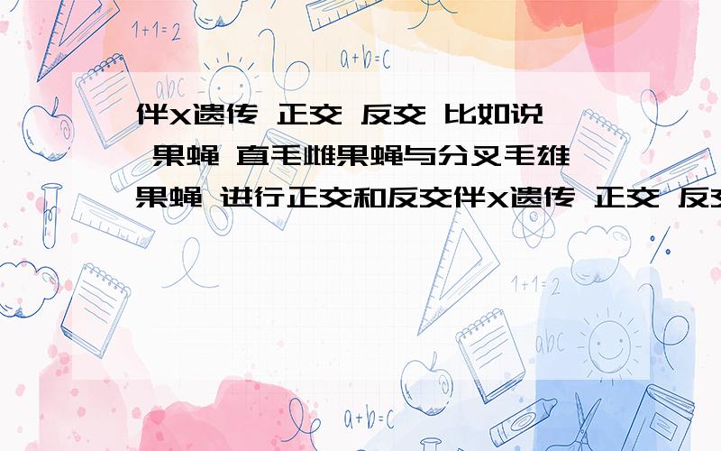 伴X遗传 正交 反交 比如说 果蝇 直毛雌果蝇与分叉毛雄果蝇 进行正交和反交伴X遗传 正交 反交 比如说 果蝇 直毛雌果蝇与分叉毛雄果蝇 进行正交和反交 如果正交是 直毛雌果蝇 和 分叉毛雄