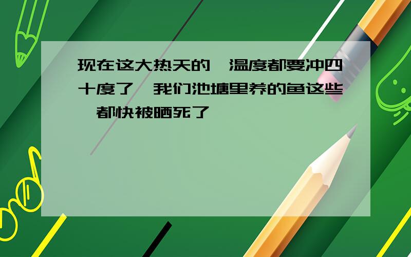 现在这大热天的,温度都要冲四十度了,我们池塘里养的鱼这些,都快被晒死了,