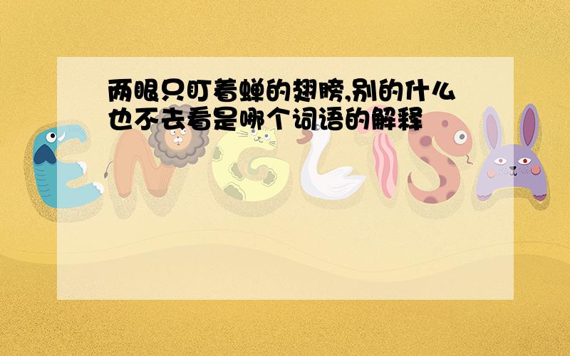 两眼只盯着蝉的翅膀,别的什么也不去看是哪个词语的解释