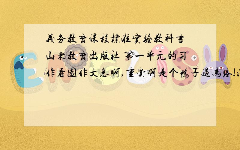 义务教育课程标准实验教科书 山东教育出版社 第一单元的习作看图作文急啊,重赏啊是个鸭子过马路!汽车给他们让路