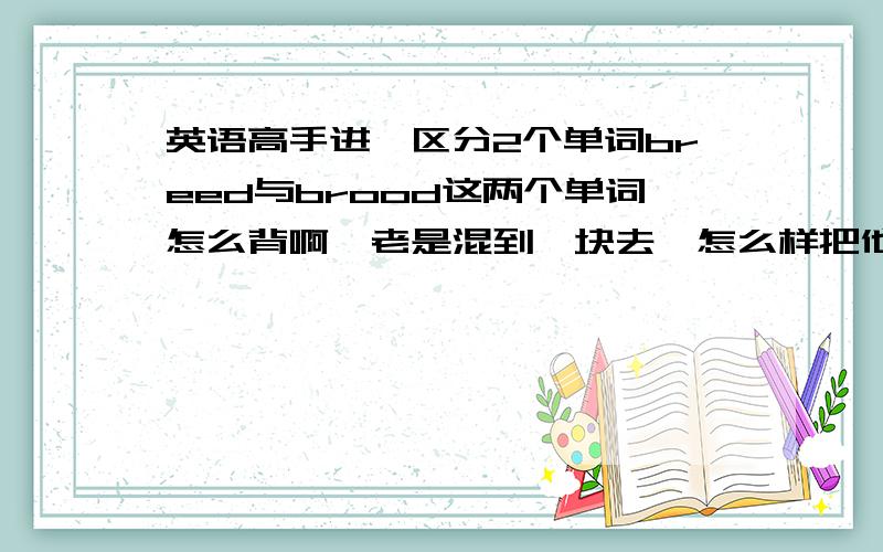 英语高手进,区分2个单词breed与brood这两个单词怎么背啊,老是混到一块去,怎么样把他们意思区分开并方便背诵